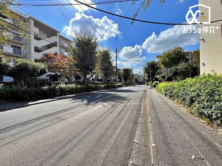 ���̑� �J���I�Ȍ��n�̗l�q�B