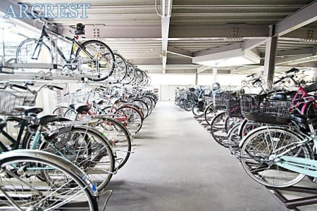 ���̑� ���֏�͉����t���ŉJ�̓��ł��G��邱�ƂȂ����S�ł��B�܂��A�Ă͏����z�˂�������򉻂�����Ă���܂��B