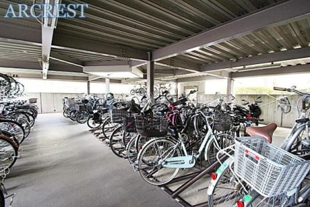 ���̑� �~�n�����փX�y�[�X�̗l�q�ł��B����A���n���m�F���������܂��B