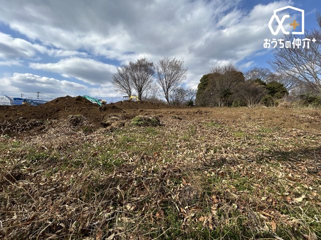 ���n�y�n�ʐ^ ��^�����n���̗l�q�ł�