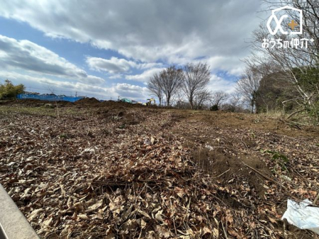 ���n�y�n�ʐ^ �쑤���猩���~�n���̗l�q�ł�