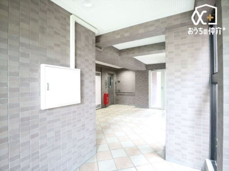 ���̑� �������̍s���͂������r�[�̗l�q