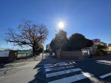 ���ӊ� �ӂ��ݖ�s����䓌���w�Z �k��16���B�T�N���̃L���C�Ȓ��w�Z�ł��B 1250m