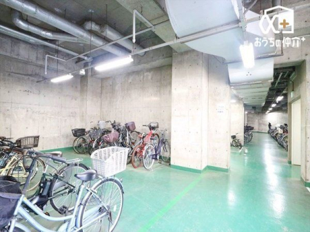 ���̑� ���֏�̗l�q