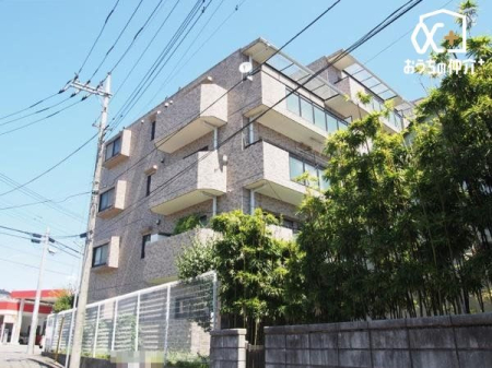 ���̑� ���n�ɂėz���������m���߂��������܂�