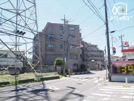 ���̑� ���̑����n