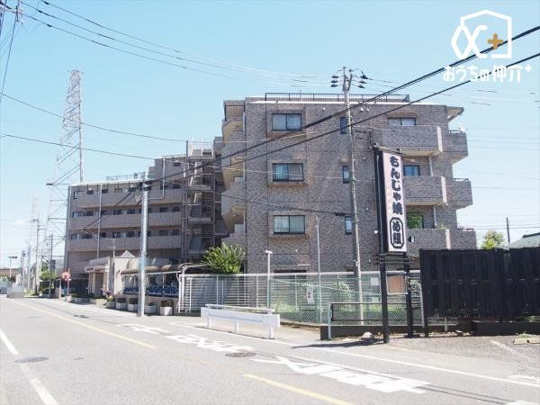 ���n�O�ώʐ^ ���R���w�܂œk��8���ł�