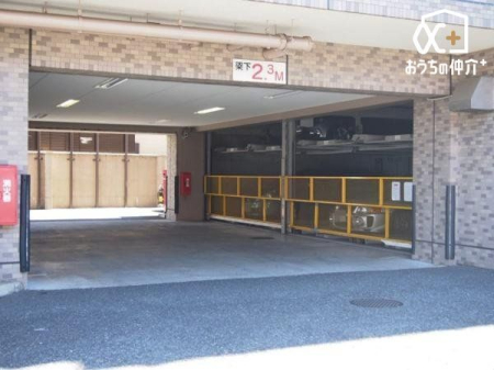 ���ԏ� �L�X�Ƃ����J���I�Ȓ��ԏ�