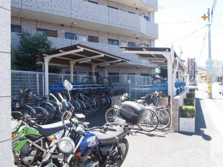 ���̑� ���֏�̗l�q