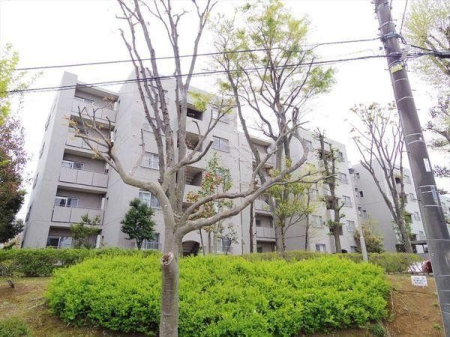 ���̑� �������R���u���R���v�w�k��21��