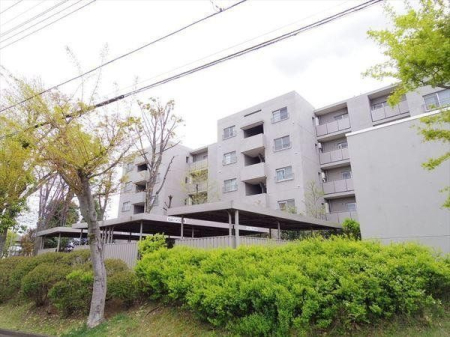 ���̑� �̂�т�Ɨ�����������