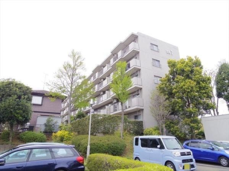 ���̑� �ʕ��E�̌��ɂ��D��Ă��܂�