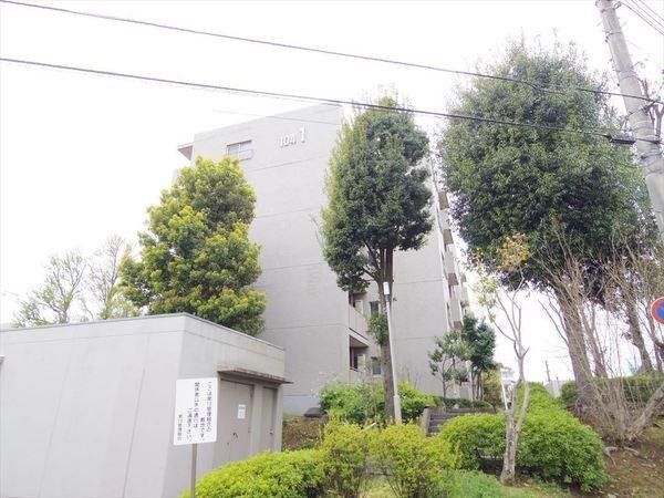 ���̑� ���̑����n