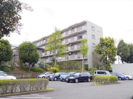 ���̑� ���̑����n