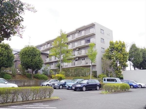 ���̑� ���̑����n