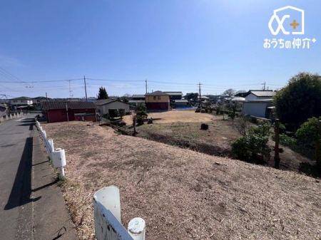 ���n�y�n�ʐ^ -