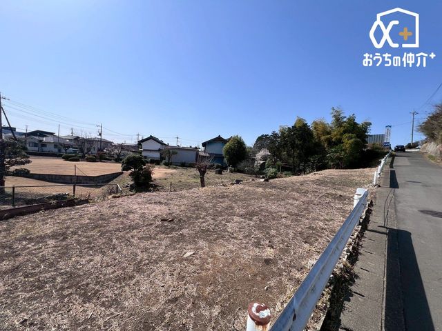 ���n�y�n�ʐ^ -