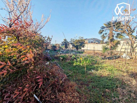 ���n�y�n�ʐ^ �L����c�����i�B�̂�т������肪�ɂ������P�[�V�����B