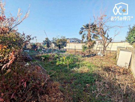 ���n�y�n�ʐ^ �z����ǍD�B