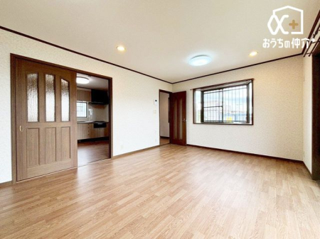 ���̑� �P�K