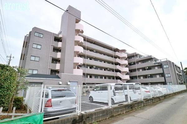 ���n�O�ώʐ^ �����V�h���u���R�s�v�w�܂œk��14��