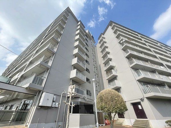 ���̑� ���n�ɂėz���������m���߂��������܂�