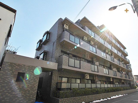 ���n�O�ώʐ^ ���[�t�o���R�j�[25m2�ŁA�����������ƊJ���I�Ɋy���߂܂��B