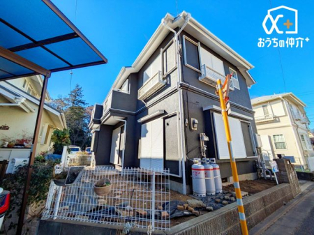 ���̑� �O�Ǔh���E�����h���E���ؔ���