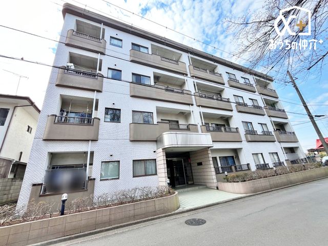 ���n�O�ώʐ^ �T�P�J�����k���P���I�Z���ǍD�ȕ����ł��B