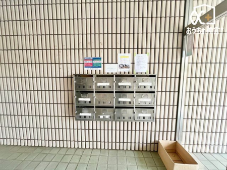 ���̑� �W���|�X�g�̗l�q�ł��B