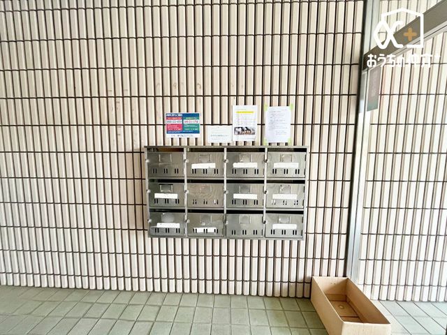 ���̑� �W���|�X�g�̗l�q�ł��B