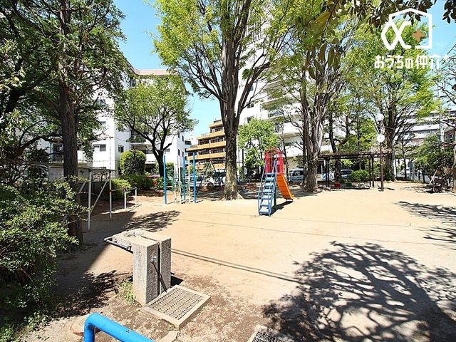 ���̑� �~�n���ɂ�������̗l�q�ł��B