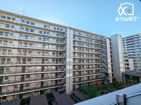 ���̑� �o���R�j�[����̒��]�̗l�q�ł��B���ꂽ���ɂ͐󂪍L����C�����̗ǂ��ꏊ�ł��B