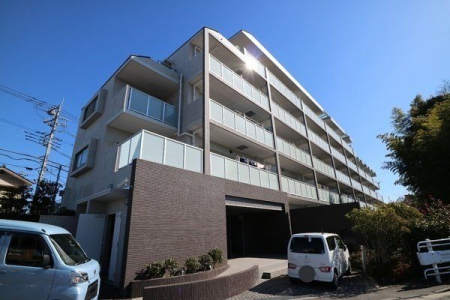 ���̑� ���̑����n