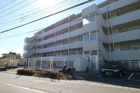 ���̑� ���̑����n