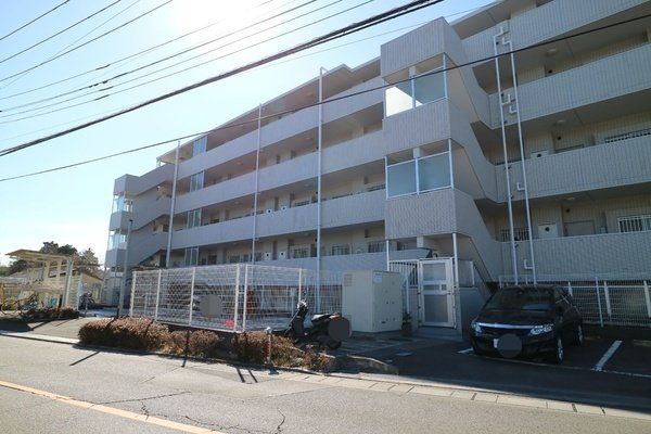 ���̑� ���̑����n