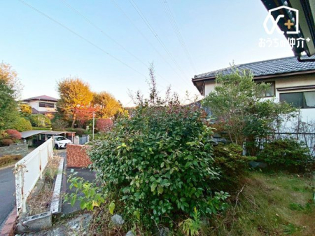 ���̑� ���L�X�Ƃ�������ŃK�[�f�j���O�����y���߂܂��B�O���Ԃ�������āA��炵�ɍʂ���v���X�ł��܂��B���J�[�X�y�[�X1�䕪����i�Ԏ�ɂ��j�B�w����̃A�N�Z�X���ǂ��A�ʋΒʊw�₨�o�����ɕ֗��ł��B