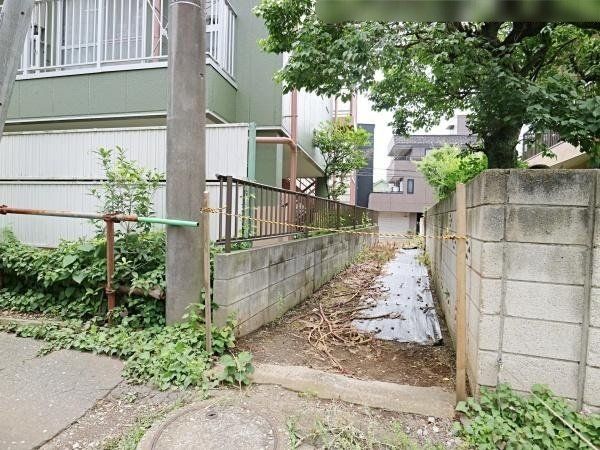 ���̑� 2024.06.24�B�e