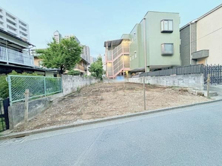 ���̑� 2024.06.20�B�e