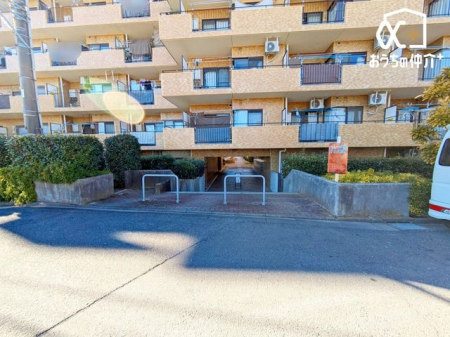 �G���g�����X �G���g�����X�̗l�q