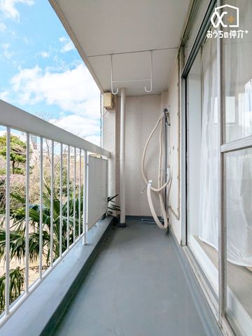 �o���R�j�[ �J�������錩���炵�̗ǂ��o���R�j�[