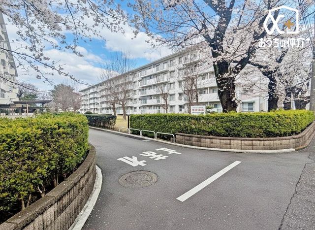 ���n�O�ώʐ^ ���n�̗l�q�ɂȂ�܂��B���Ȃ��̖��̂���`���������Ă��������܂��B����A���n�ɑ������^�т��������A�����Ǝ��ӊ������m�F���������ˁI�����Ƒf�G�ȏo�������܂���(^^)/