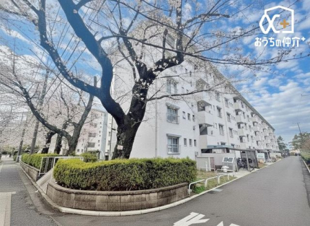 ���n�O�ώʐ^ �T���ɁA���Ƒ��E���F�l���U�����킹�̏�A���n�������ɂȂ��Ă݂܂��񂩁H���ӊ��ƍ��킹�Ă��ē��v���܂��I