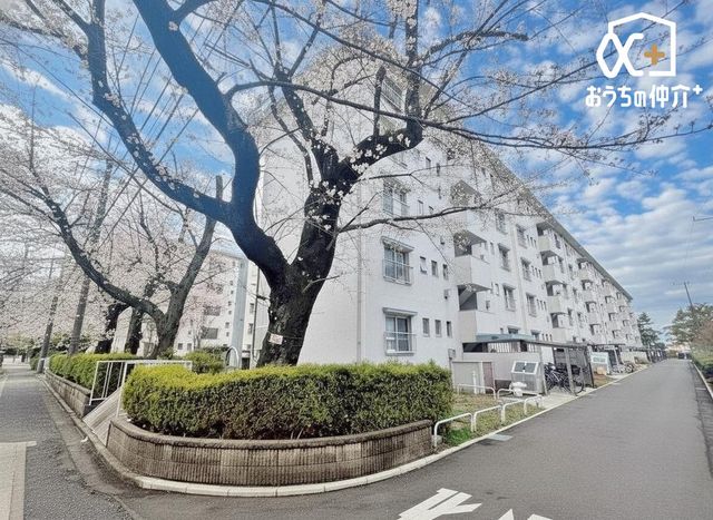 ���n�O�ώʐ^ �T���ɁA���Ƒ��E���F�l���U�����킹�̏�A���n�������ɂȂ��Ă݂܂��񂩁H���ӊ��ƍ��킹�Ă��ē��v���܂��I