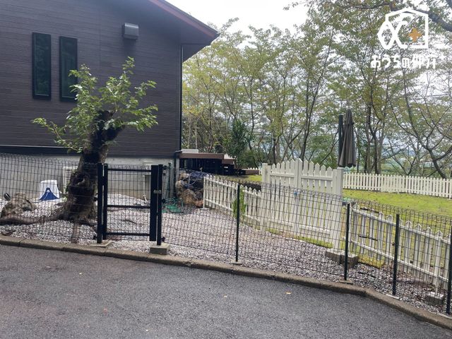 ���n�O�ώʐ^ �L������̂���a���_���Ȃ��Z���ł�