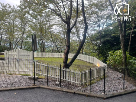 ���̑� �h�b�O�����ɂ��Ȃ�L������