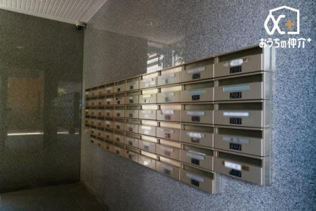 ���̑� �W���|�X�g