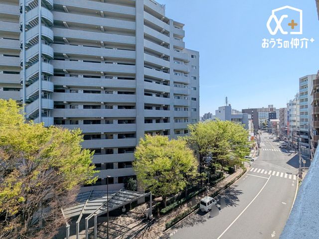 ���̑� �U�K���璭�߂�i�F�ł��B���ꂽ���ɂ͐󂪍L����A�C�����̗ǂ��o���R�j�[�ł��I