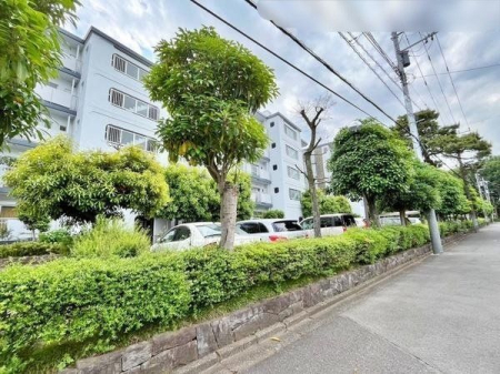 ���̑� ���n�����w�̂��₢���킹�����҂����Ă܂�