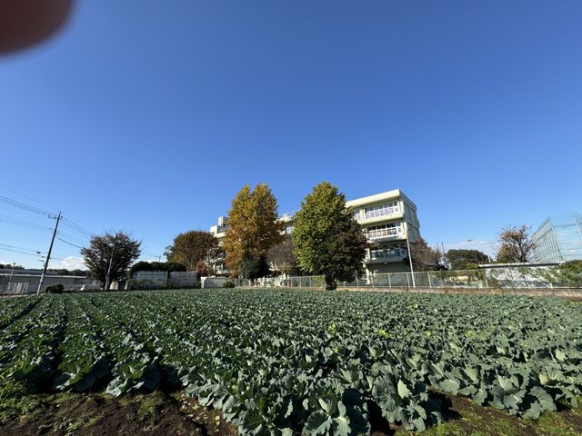 ���ӊ� ����s���k�����w�Z �k��10���B�΂̑����������������ɂ��鏬�w�Z�ł��B 800m